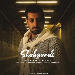 Mehran Raei  –   Shabgardi